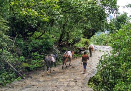 Hemkunt Sahib Faith Tour