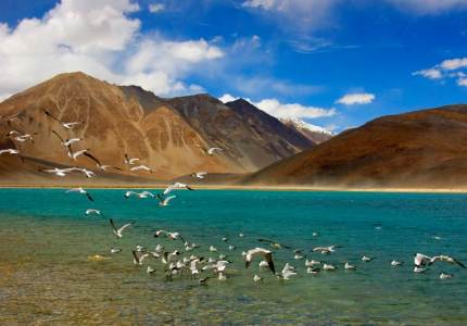 Leh Nubra Pangong Tour