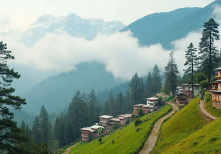 Chandigarh to Manali Tour