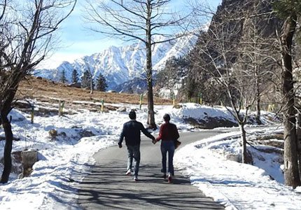 Chandigarh to Manali Tour