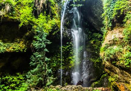 Chandigarh to Dharamshala Escape