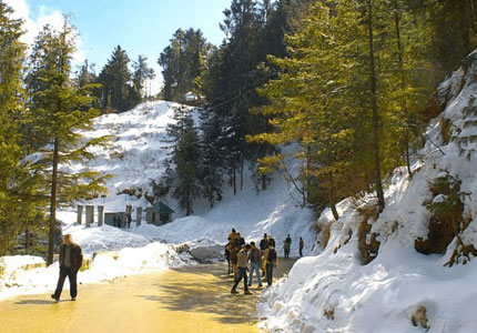 Chandigarh Shimla Manali Trip